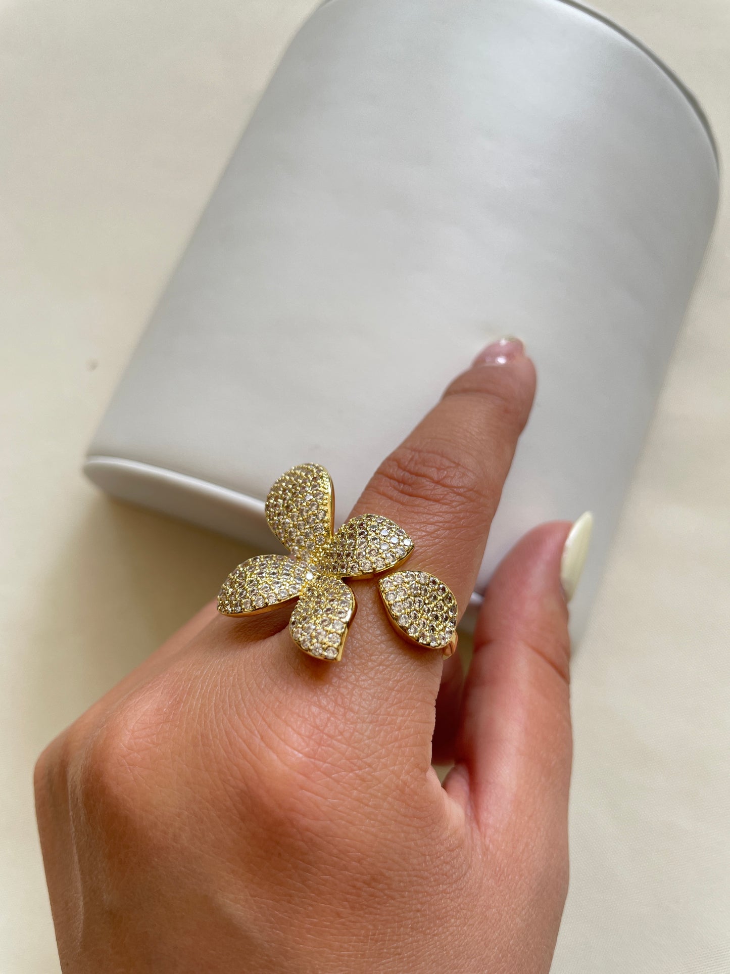 Anillos